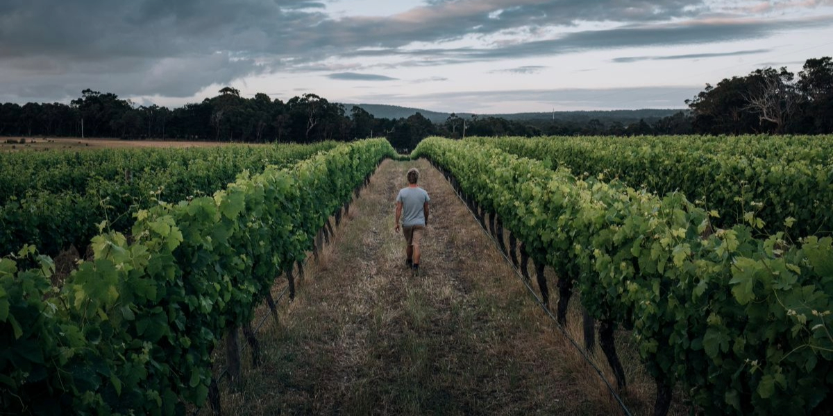 Windance Estate